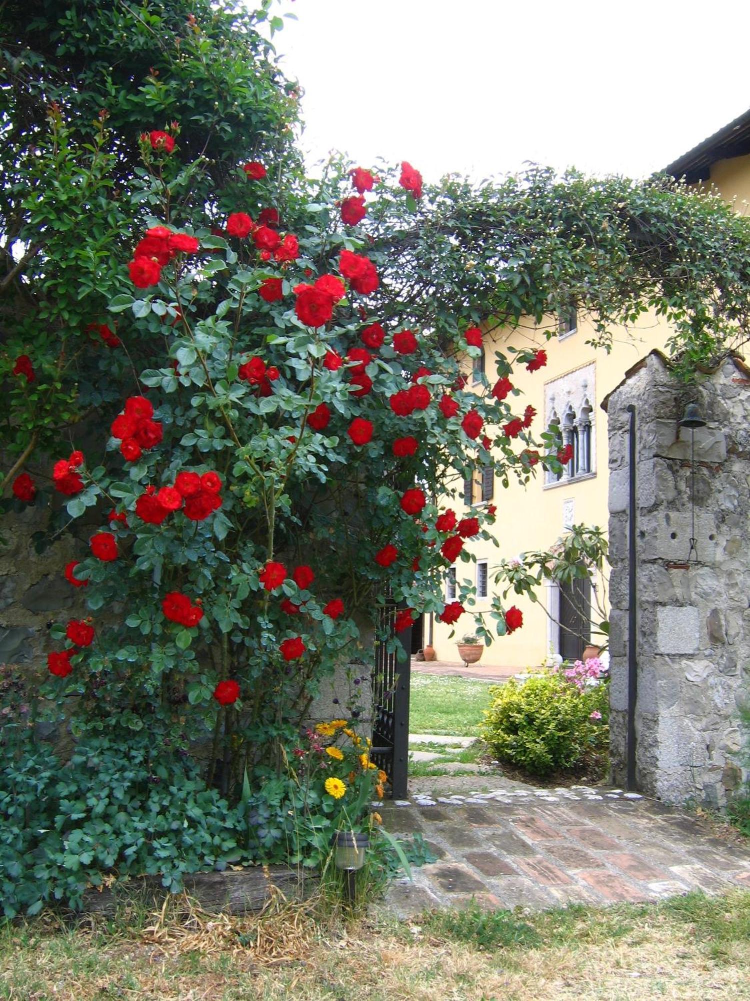 Agriturismo Domus Magna Povoletto Exterior photo